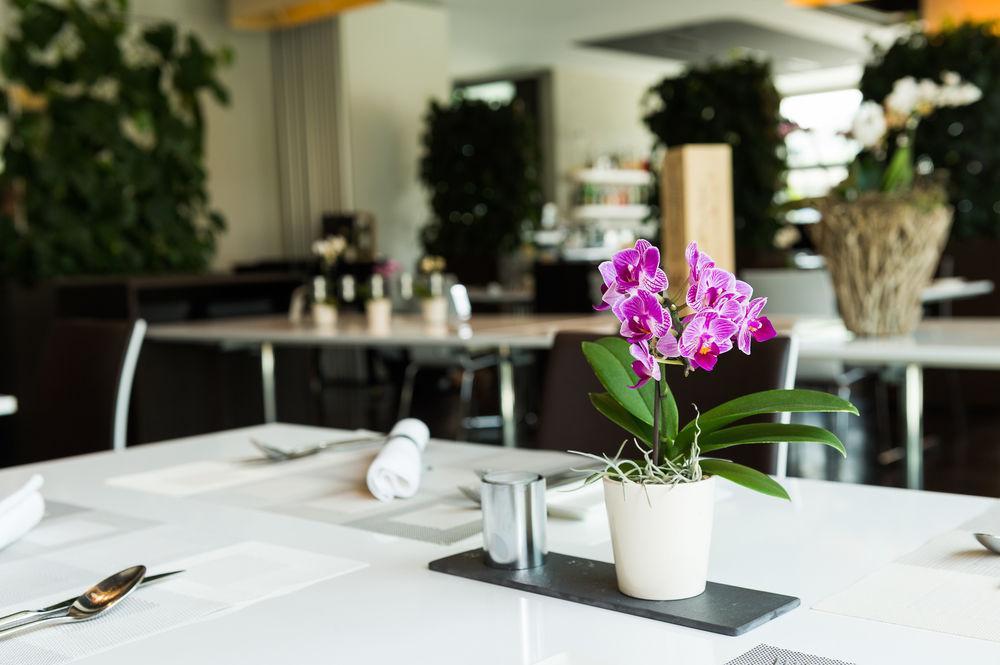 Hotel Apart - Welcoming L Urban Feel L Design Risch-Rotkreuz Exterior photo